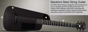 カーボン製の変形アコギ Blackbird - kengology(2009-05-16)